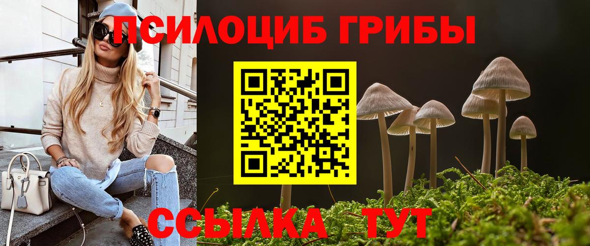 Советский  Псилоцибиновые грибы Psilocybe  Вход с VPN  Псилоцибиновые грибы Cubensis 